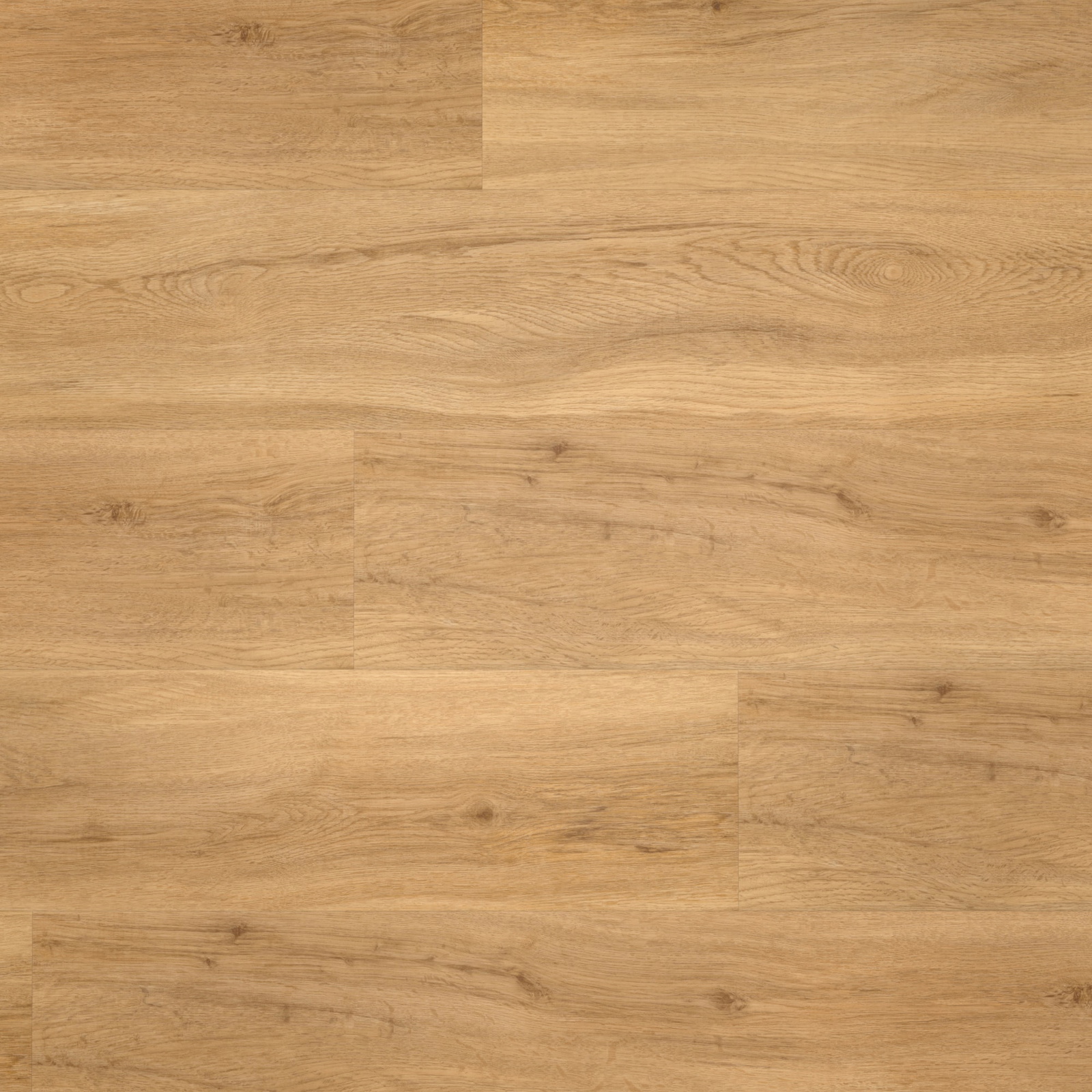 Draufsicht - Parador Klebe-Vinyl Basic 2.0 Eiche Sierra natur Draufsicht - Parador 1730791