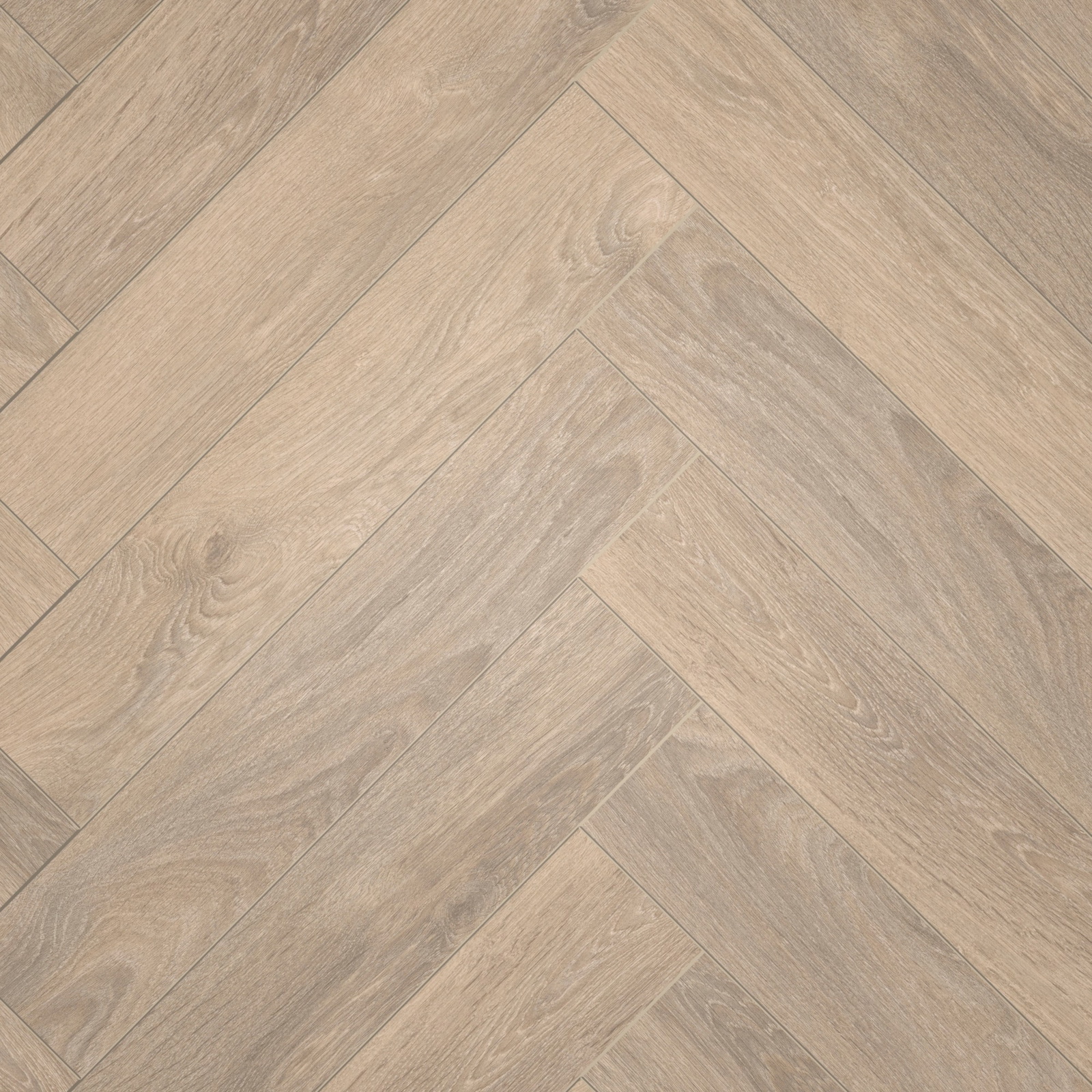 Draufsicht - ter Hürne Laminat Herringbone Edition Eiche Chalet Draufsicht - ter Hürne 1101021853