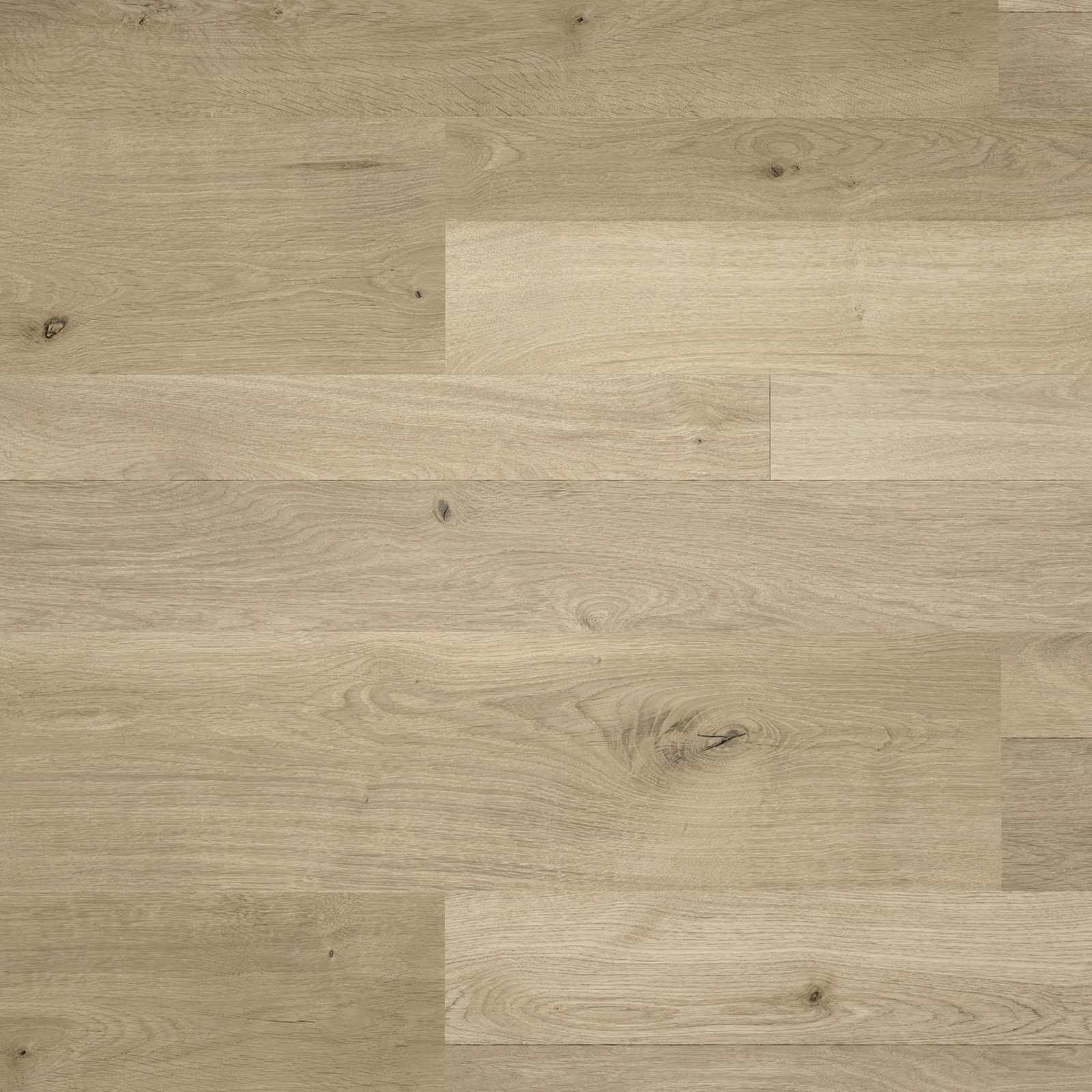Draufsicht - MEISTER Laminat LC 55 Natural Oak Draufsicht - MEISTER 600012-1288198-06675