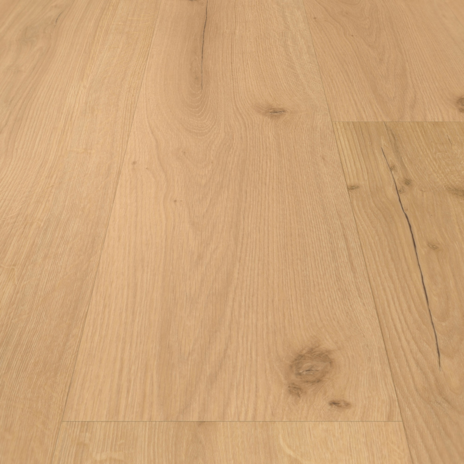 Detail Ansicht - Parador Klebe-Vinyl Basic 2.0 Eiche Infinity natur Detail Ansicht - Parador 1730799