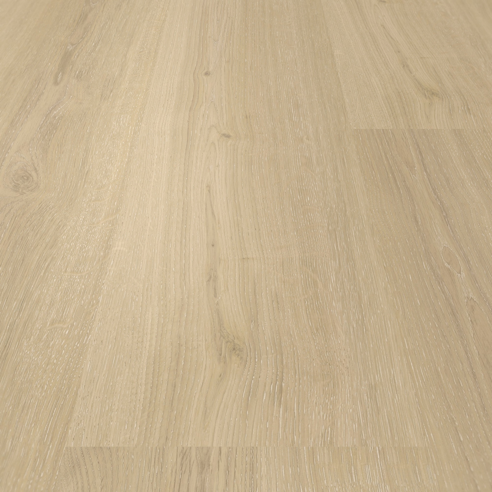 Detail Ansicht - Parador Klebe-Vinyl Basic 2.0 Eiche Regent beige Detail Ansicht - Parador 1748822