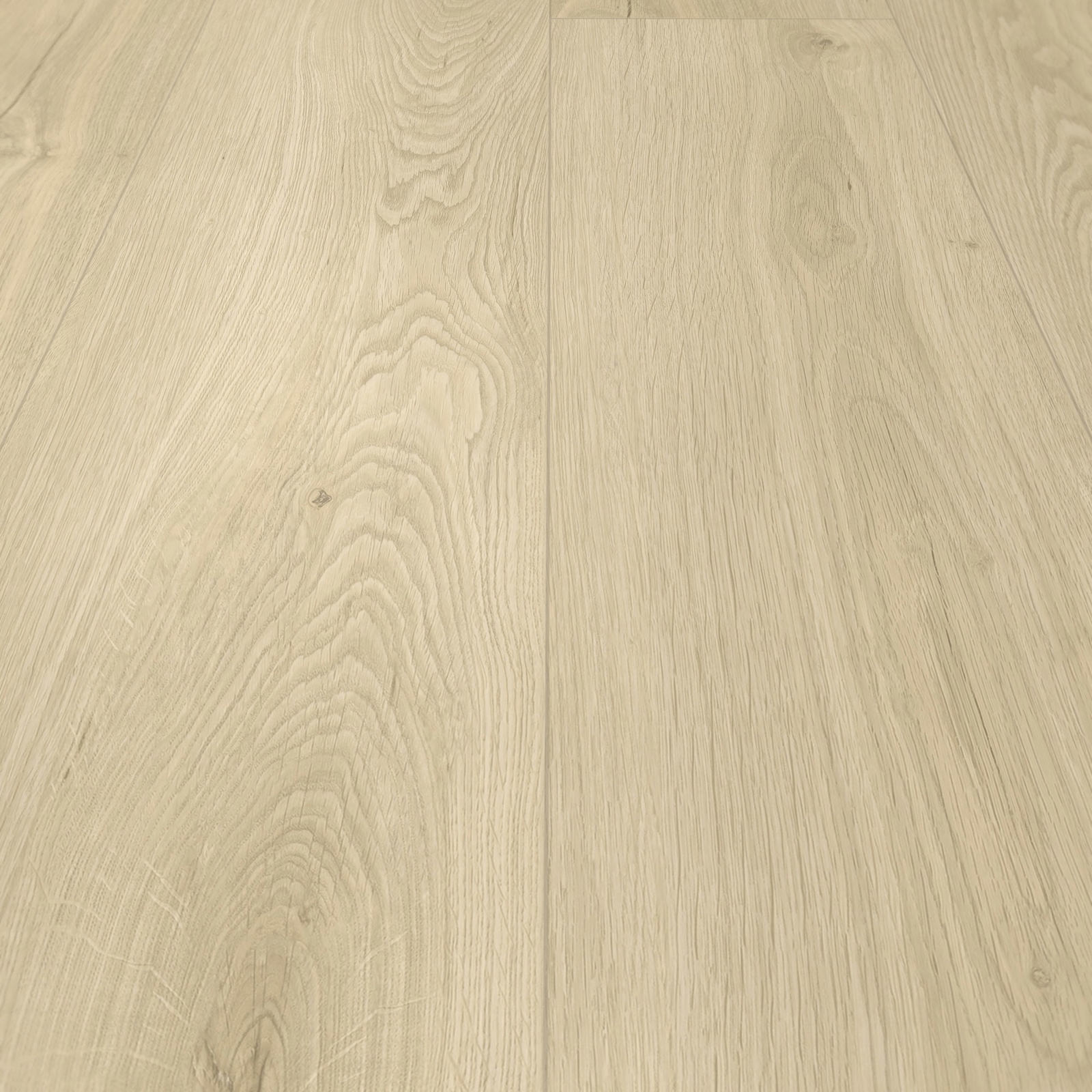 Detail Ansicht - MEISTER 400050-1522225-20197