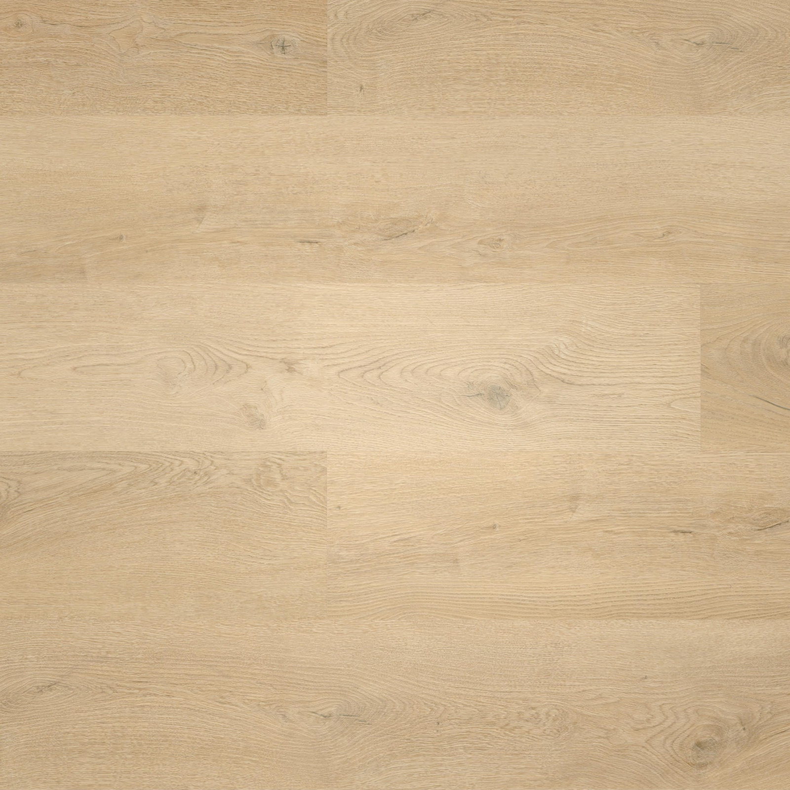 Draufsicht - wineo Klebe-Vinyl wineo 400 wood L Plain Oak Beige Draufsicht - wineo DB281WL