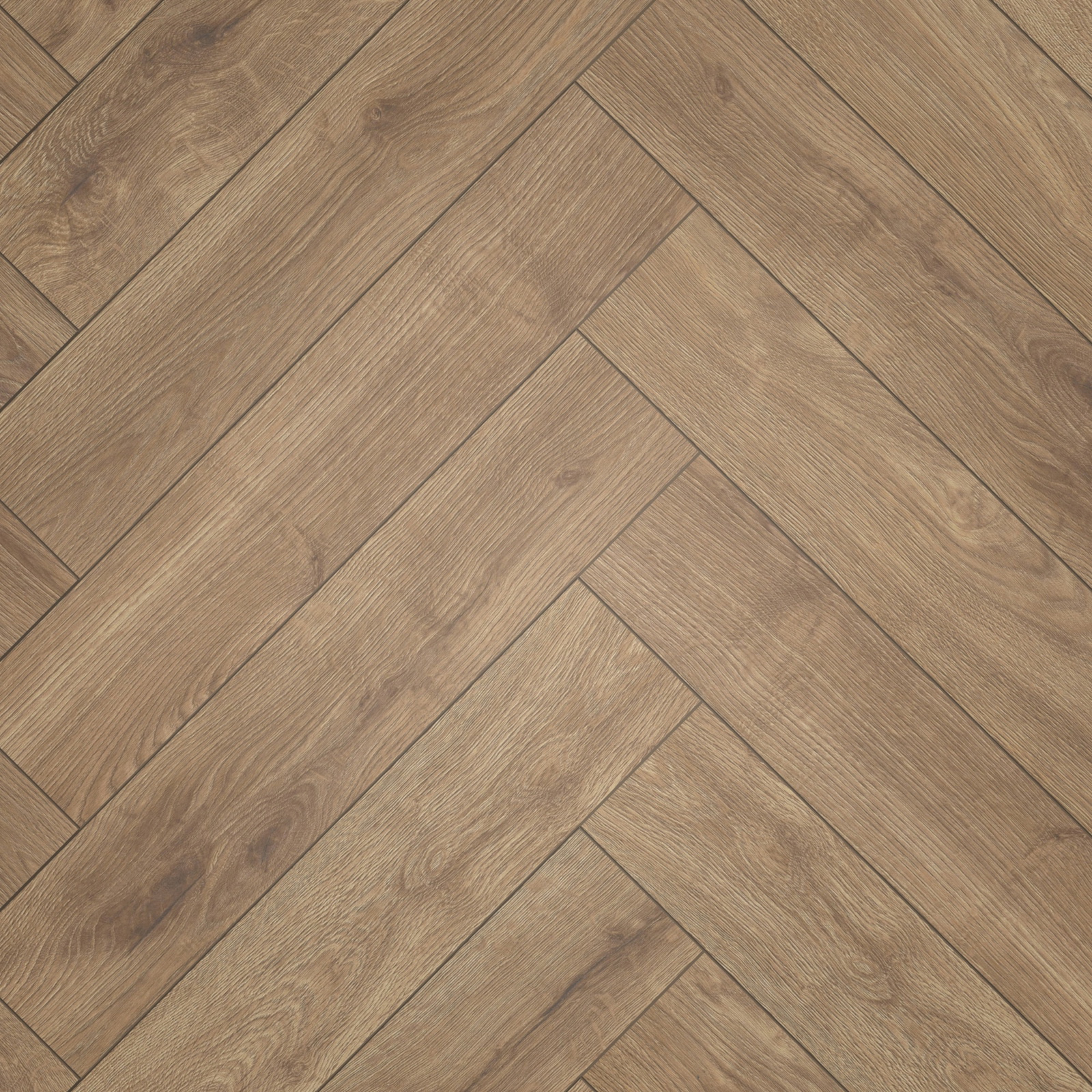 Draufsicht - ter Hürne Laminat Herringbone Edition Eiche Lodge Draufsicht - ter Hürne 1101021849