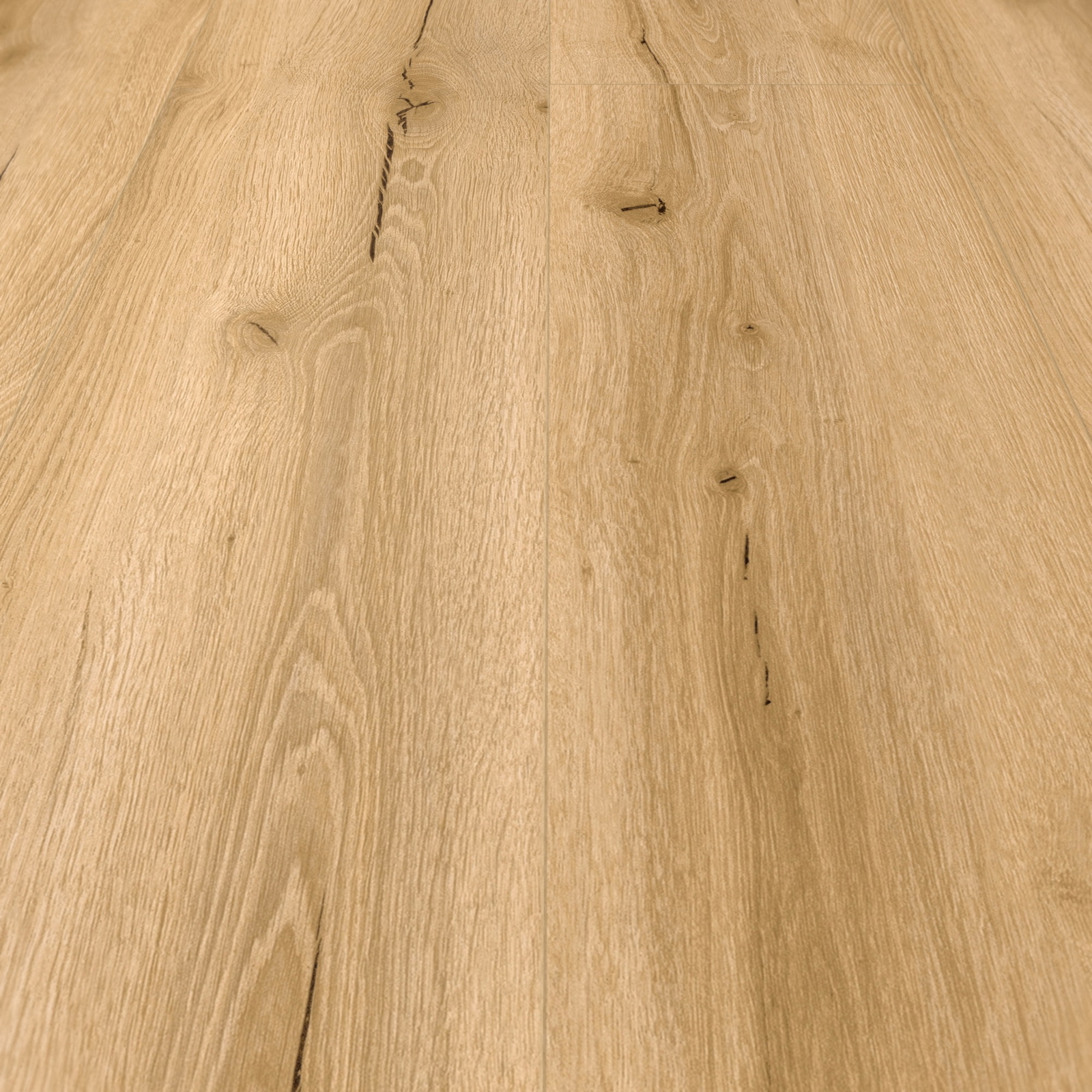 Detail Ansicht - MEISTER 400047-1220230-20192