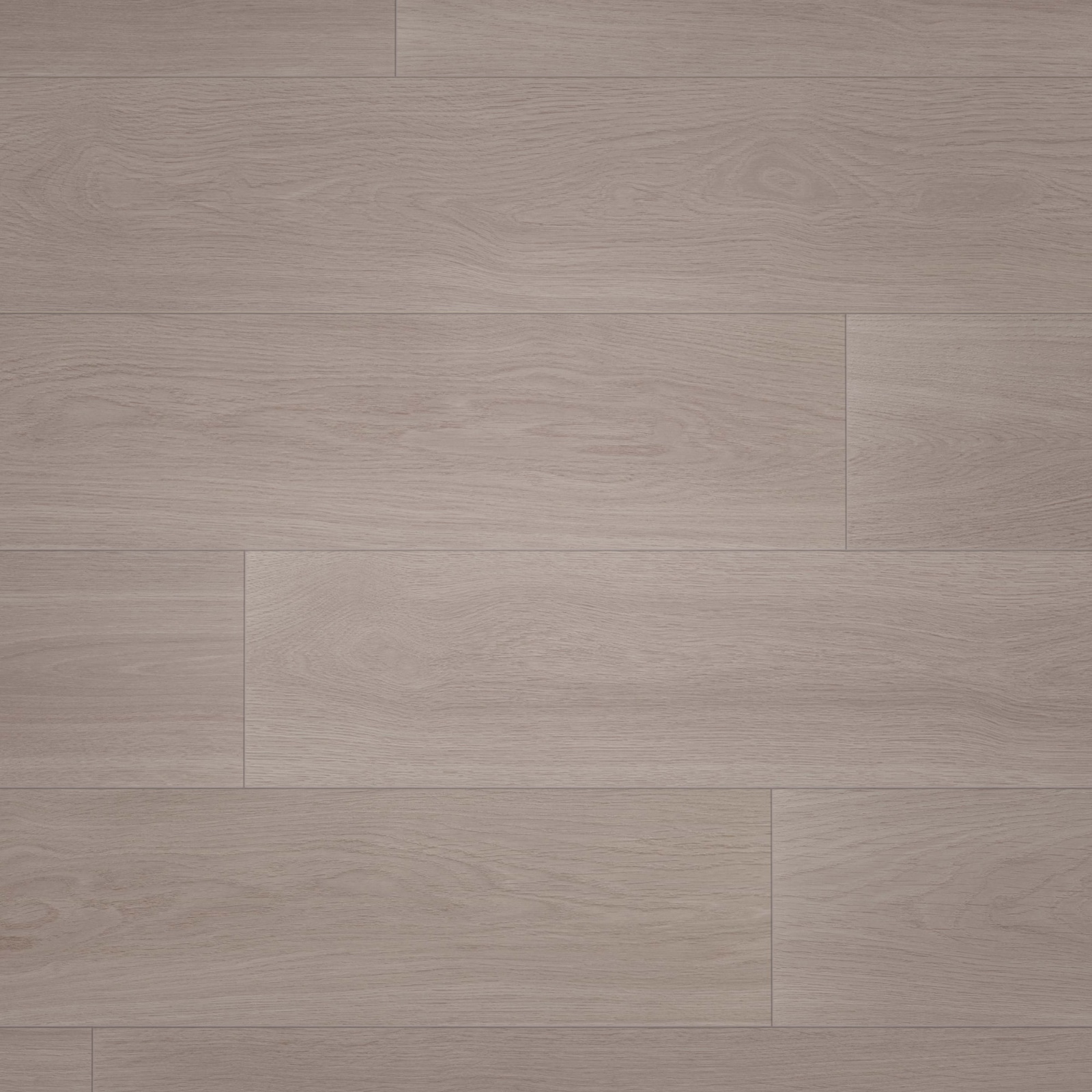 Draufsicht - wineo HDF Klick-Bioboden PURLINE wineo 1000 wood XL Calm Oak Ash Draufsicht - wineo MLP308R