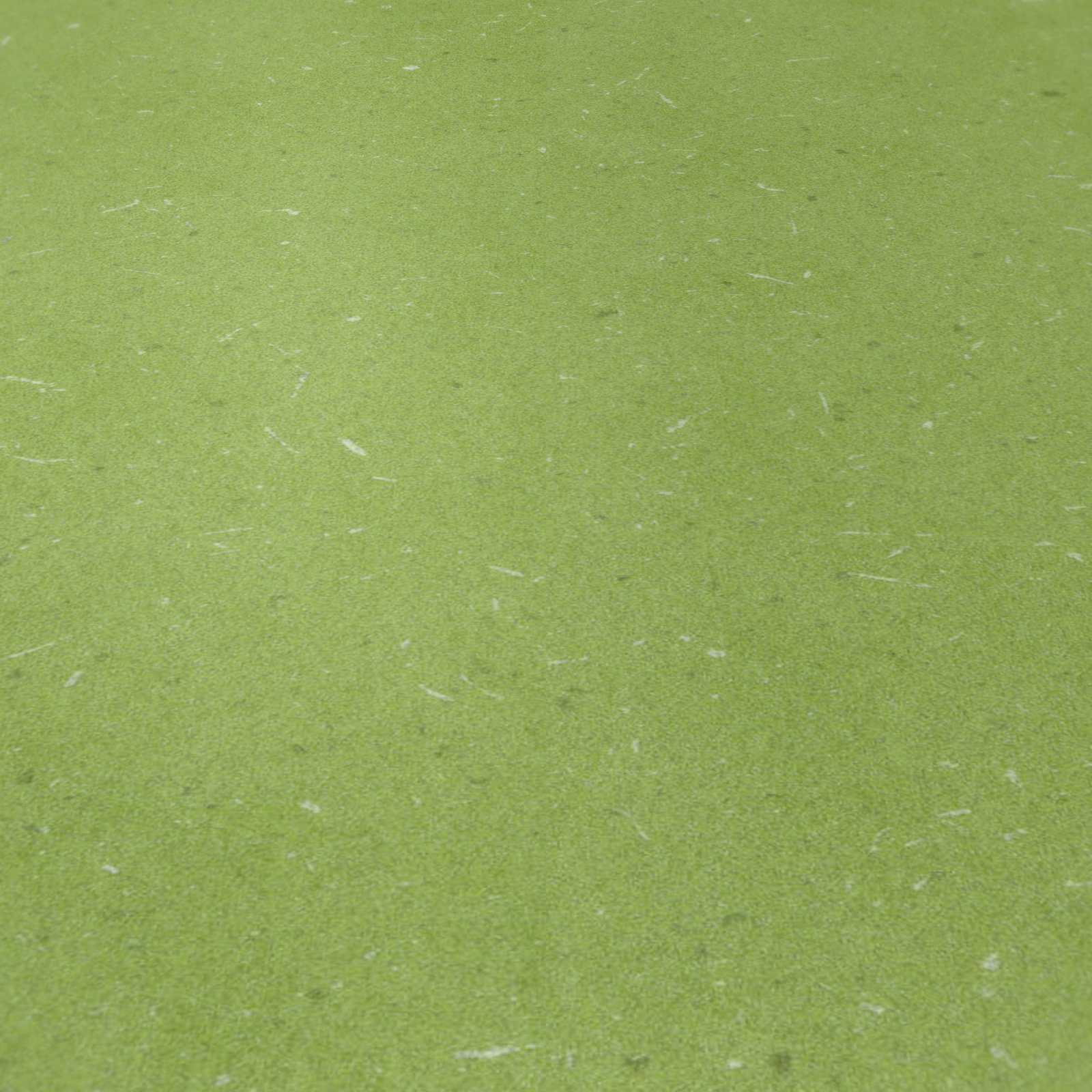 Detail Ansicht - wineo Bioboden Rollenware wineo 1500 chip Aloe Green Detail Ansicht - wineo PLR380C