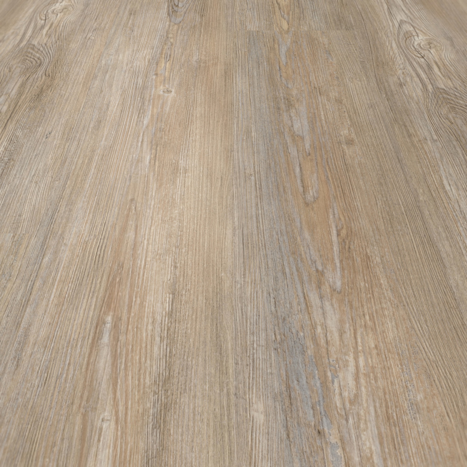 Detail Ansicht - nexflor Rigid Klick-Vinyl Apollo Click Collection Olympia Oak Detail Ansicht - nexflor NXF-60030-005