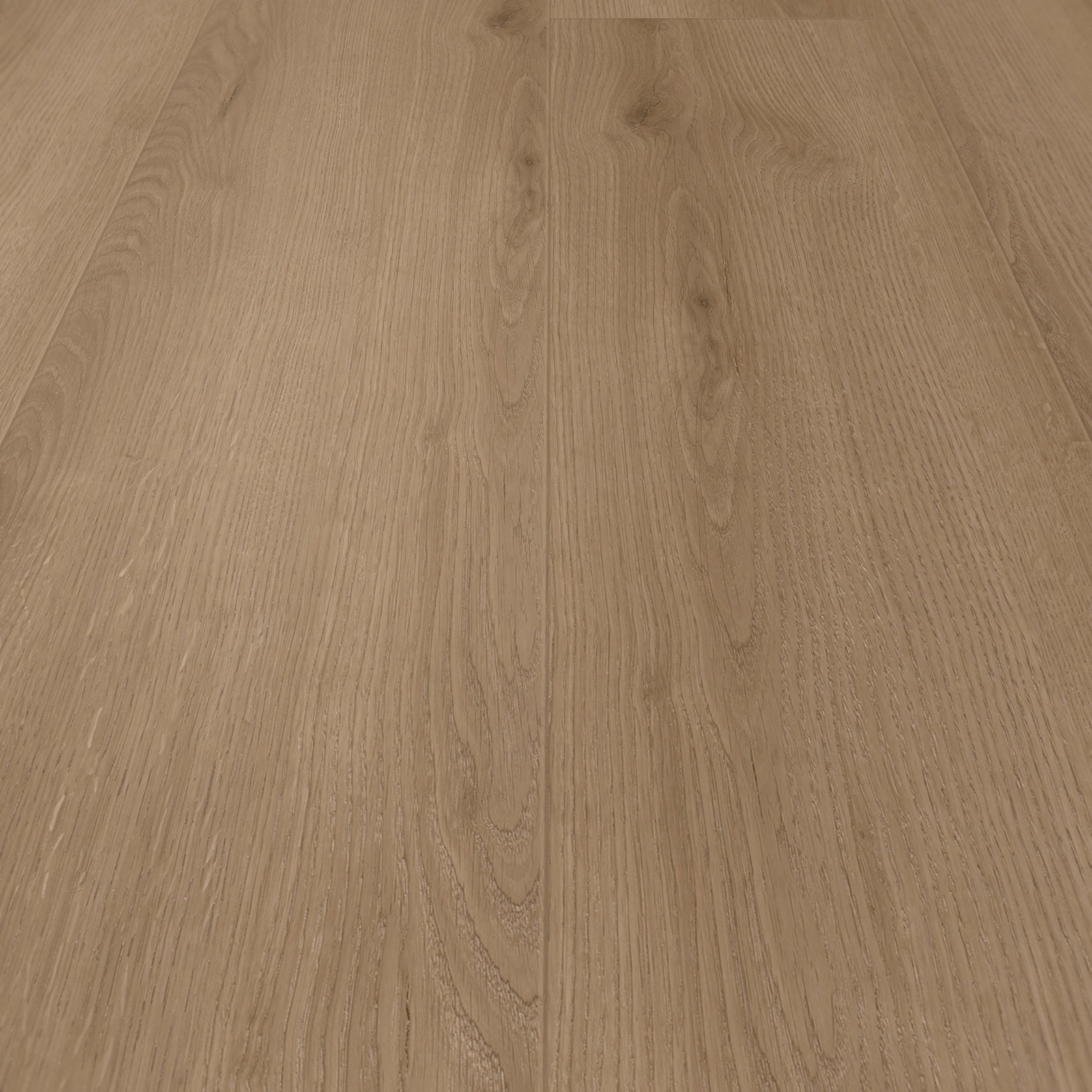 Detail Ansicht - MEISTER 400050-1522225-20203