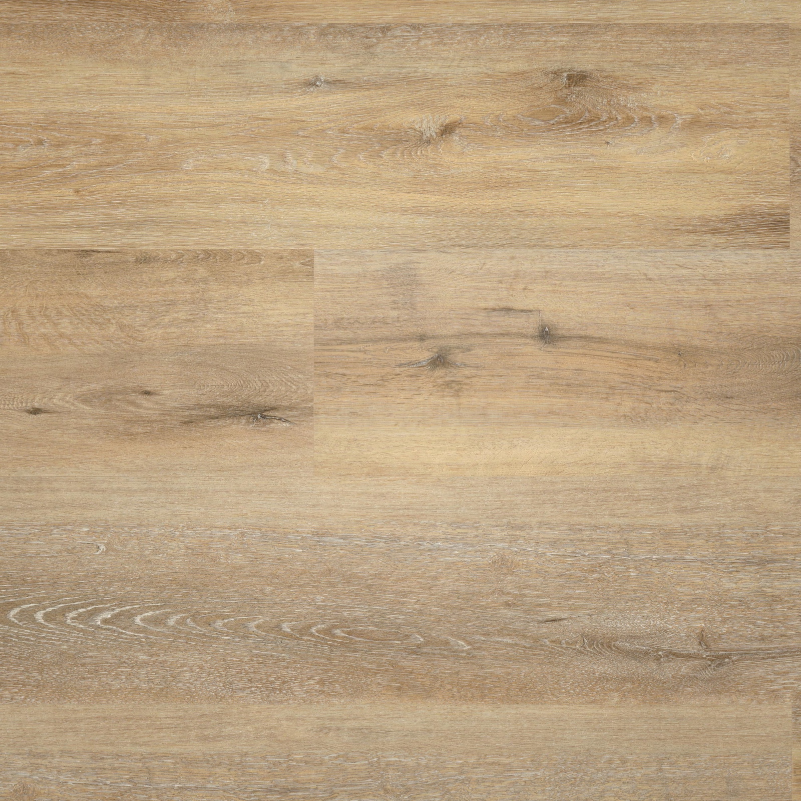 Draufsicht - wineo Klebe-Vinyl wineo 400 wood XL Joy Oak Tender Draufsicht - wineo DB126WXL