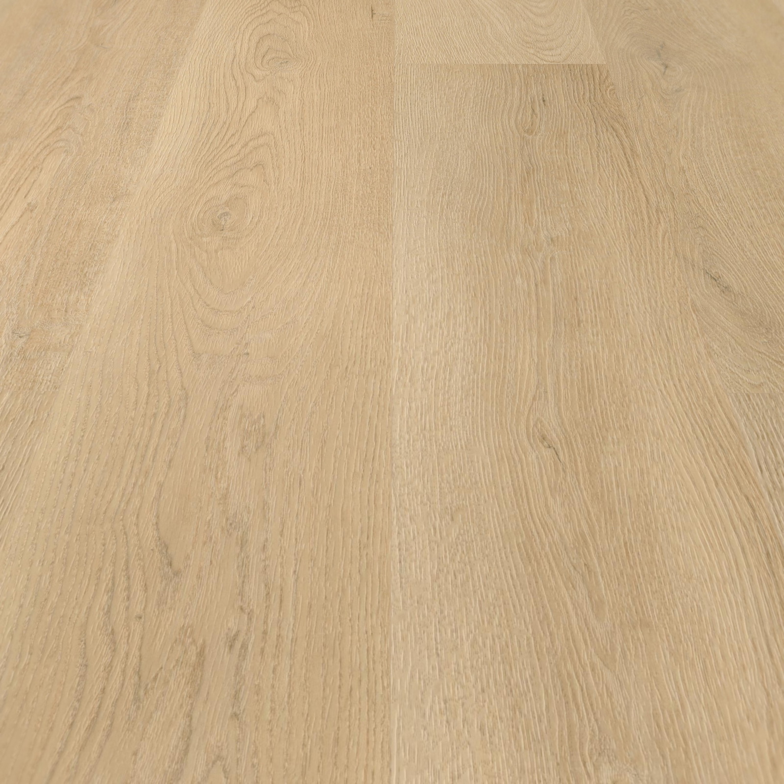 Detail Ansicht - wineo Klebe-Vinyl wineo 400 wood L Plain Oak Beige Detail Ansicht - wineo DB281WL