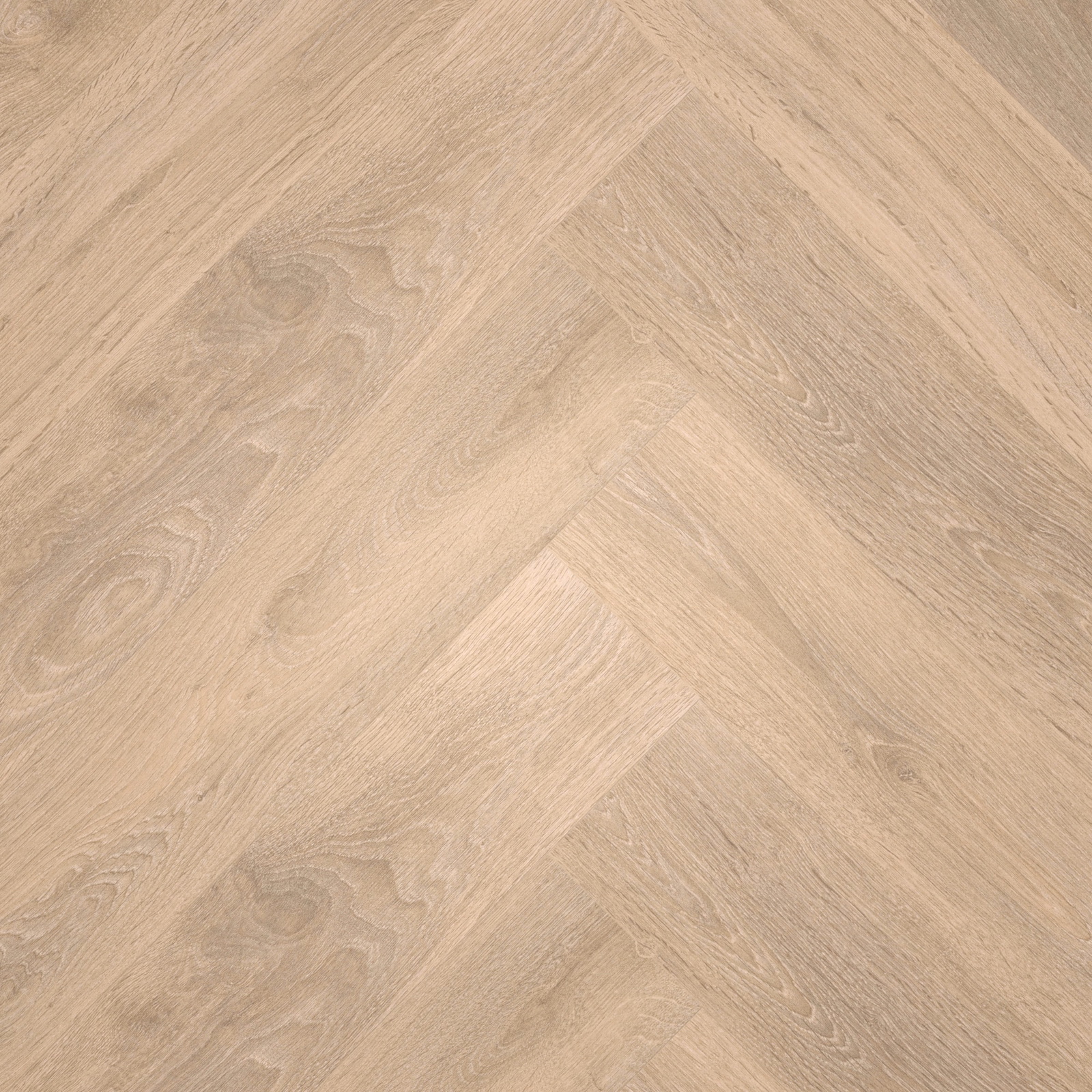 Draufsicht - MEISTER Laminat LS 350 Eiche sand Draufsicht - MEISTER 600001-0840168-07004
