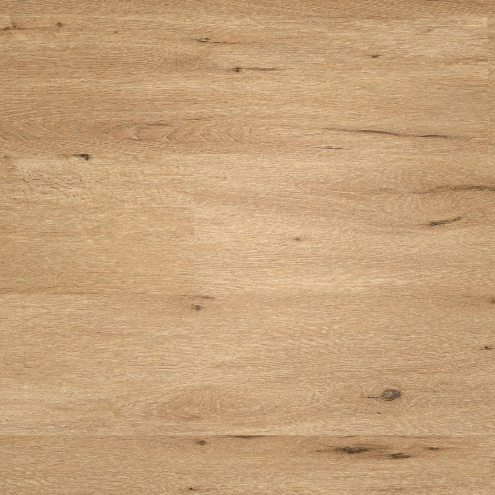 Draufsicht - wineo Klebe-Vinyl wineo 400 wood XL Country Oak Nature Draufsicht - wineo DB294WXL
