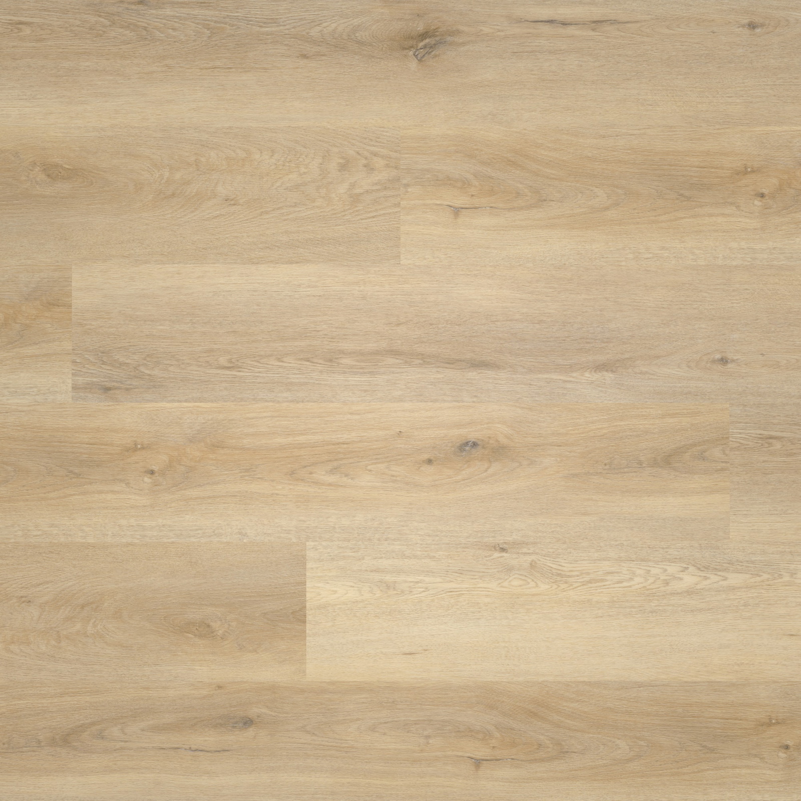 Draufsicht - nexflor Rigid Klick-Vinyl Apollo Click Collection Mycenae Oak Draufsicht - nexflor NXF-60030-020