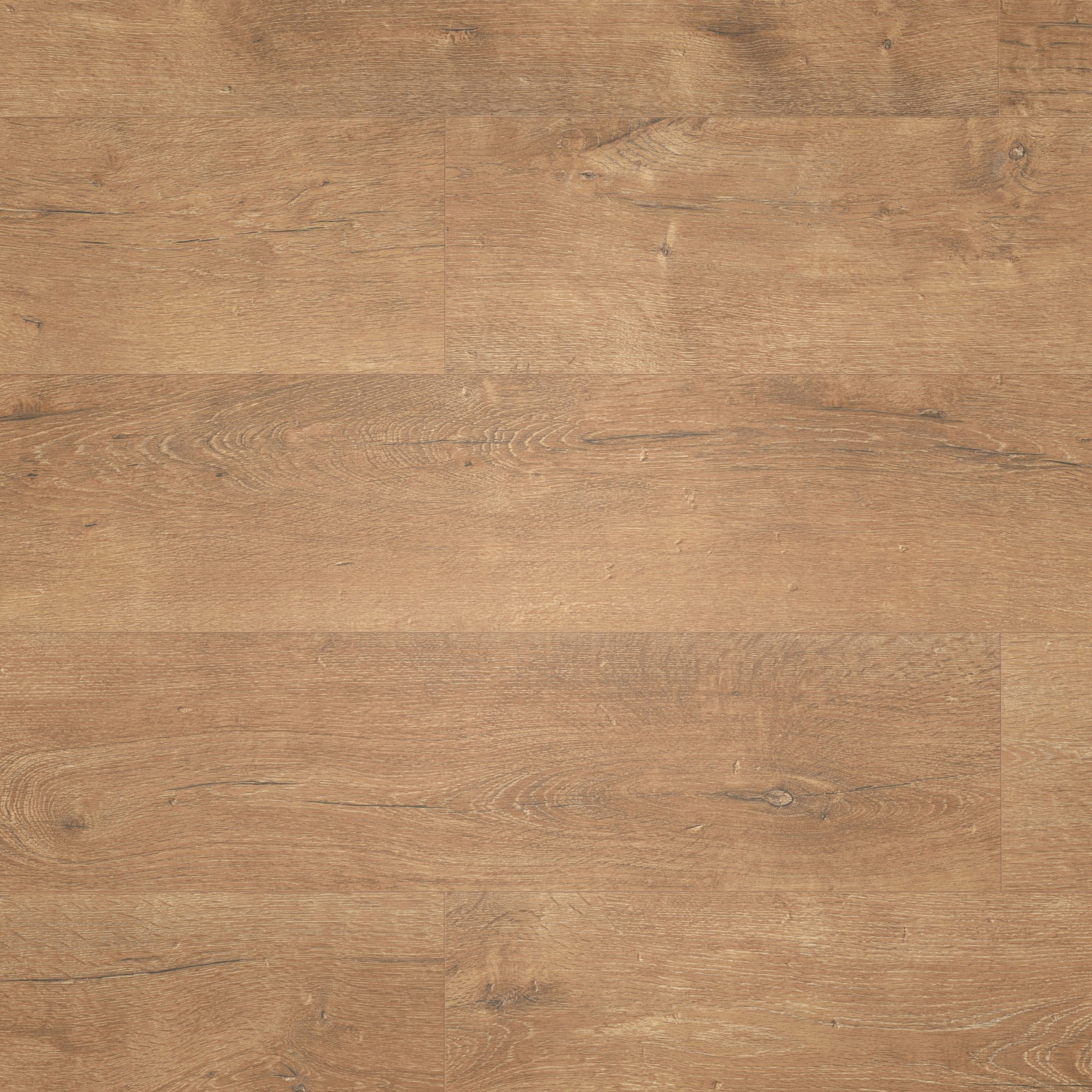 Draufsicht - MEISTER Laminat LD 55 Stieleiche natur Draufsicht - MEISTER 600015-1288198-06952