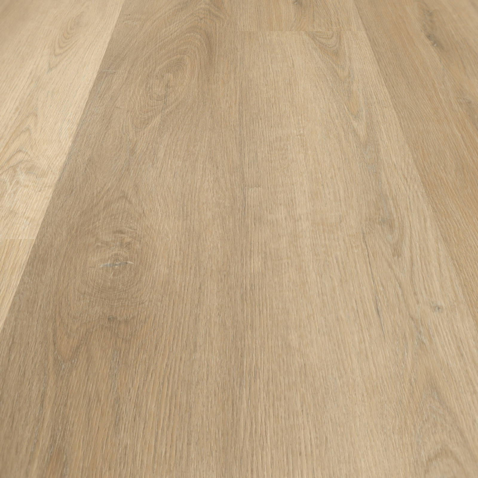 Detail Ansicht - nexflor Rigid Klick-Vinyl Apollo Click Collection Samos Oak Detail Ansicht - nexflor NXF-60030-015