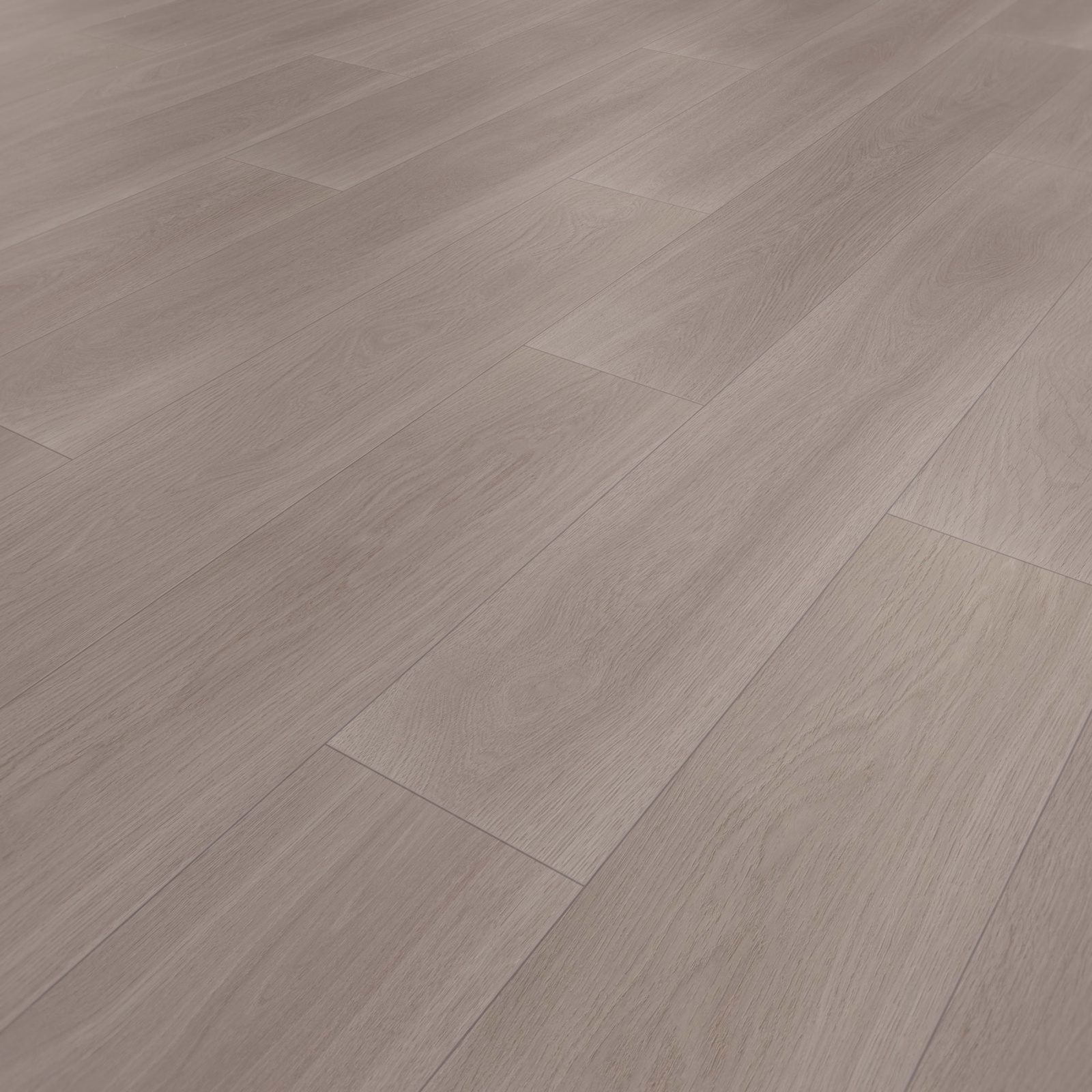 Perspektivische Ansicht - wineo HDF Klick-Bioboden PURLINE wineo 1000 wood XL Calm Oak Ash Perspektivische Ansicht - wineo MLP308R