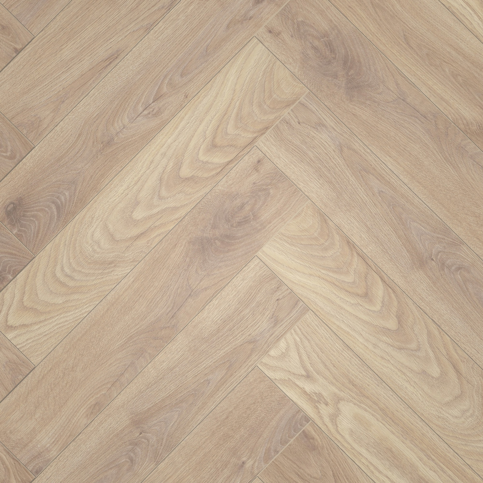 Draufsicht - ter Hürne Laminat Herringbone Edition Eiche Maisonette Draufsicht - ter Hürne 1101021848
