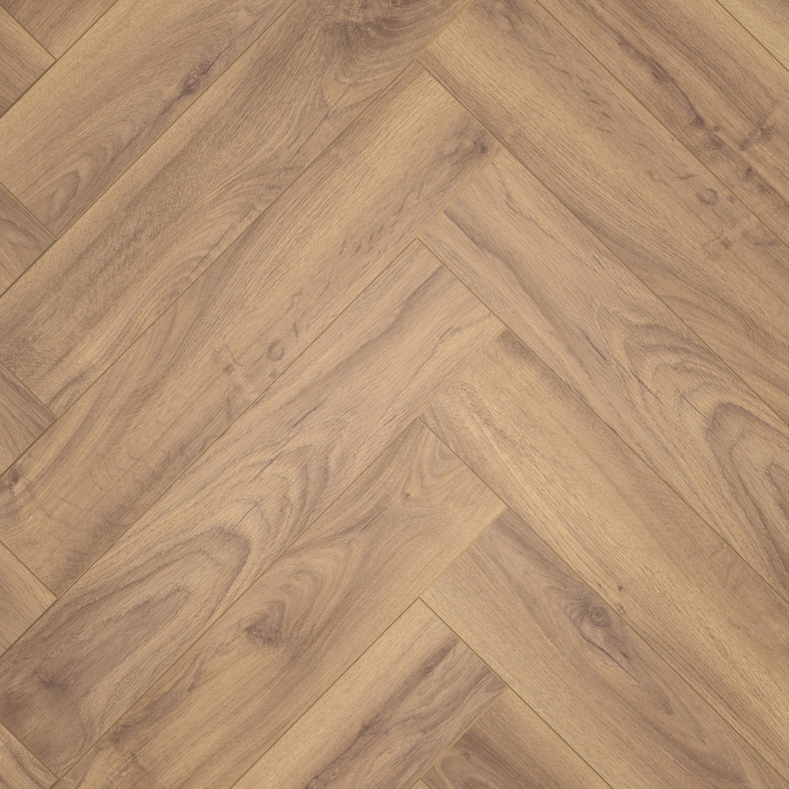 Draufsicht - ter Hürne Laminat Herringbone Edition Eiche Cottage Draufsicht - ter Hürne 1101021855