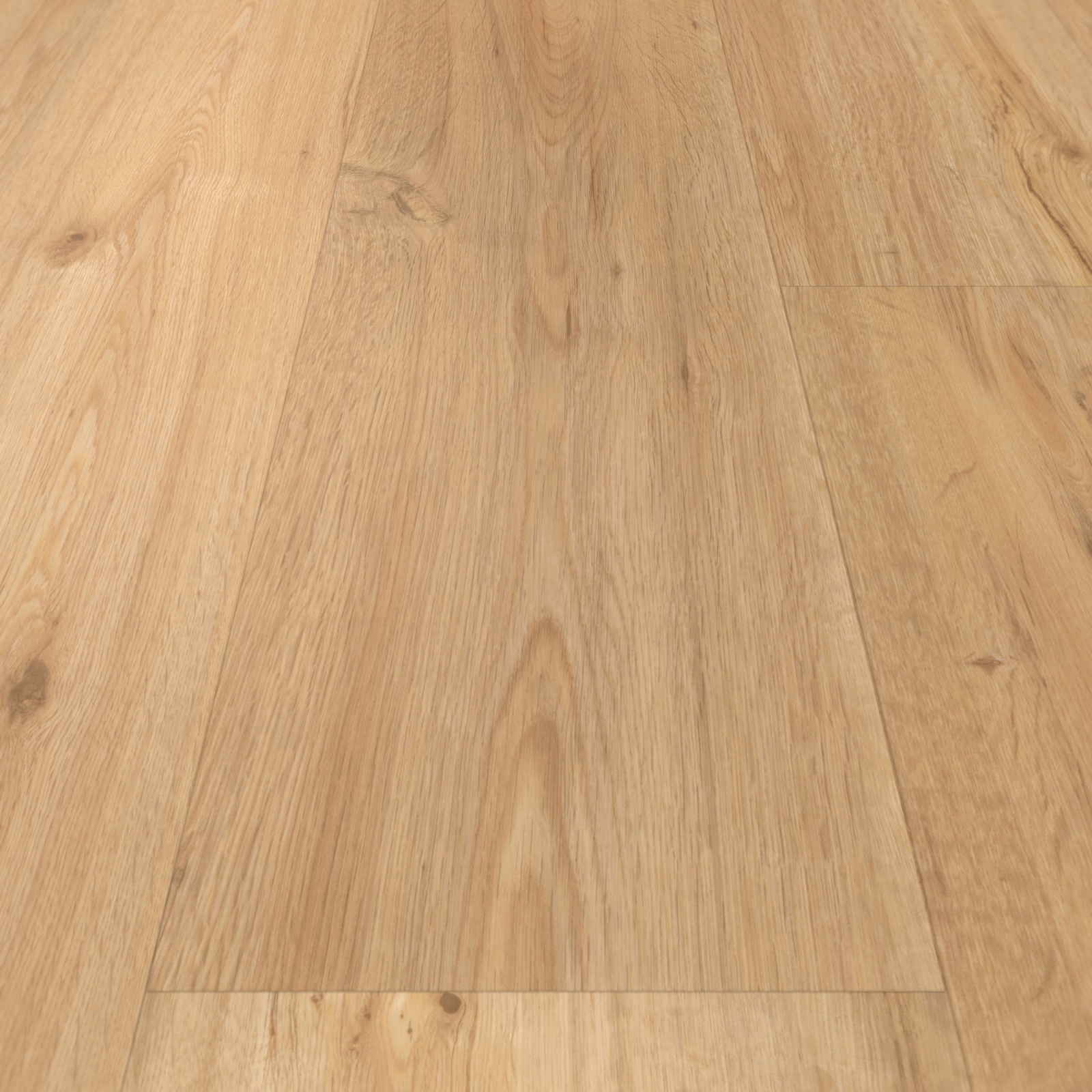 Detail Ansicht - Parador Klebe-Vinyl Classic 2025 Eiche natur Detail Ansicht - Parador 1748872