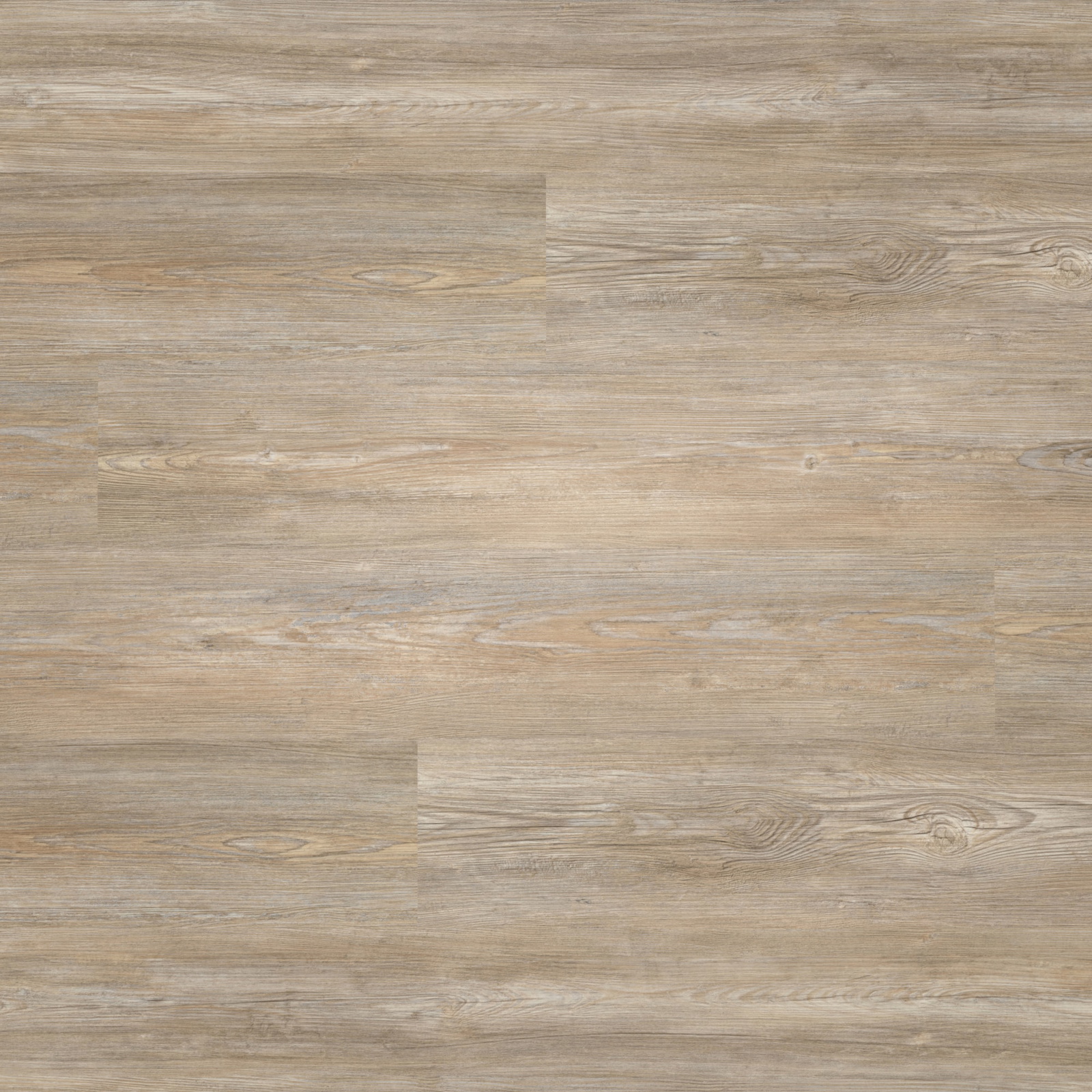 Draufsicht - nexflor Rigid Klick-Vinyl Apollo Click Collection Olympia Oak Draufsicht - nexflor NXF-60030-005