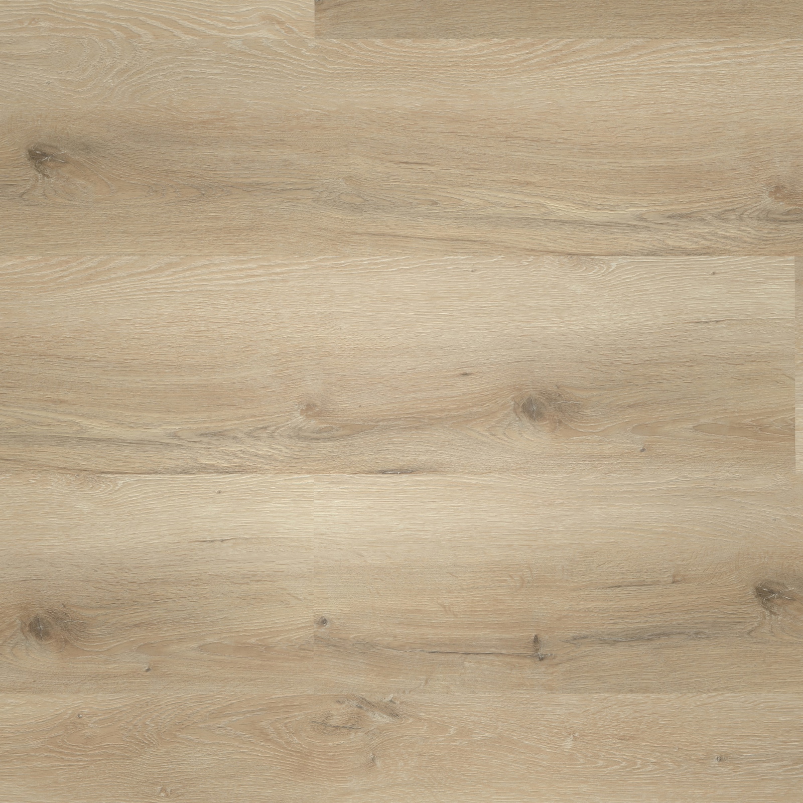 Draufsicht - nexflor Klebe-Vinyl Helios Collection Ithaca Oak Draufsicht - nexflor NXF-10030-007