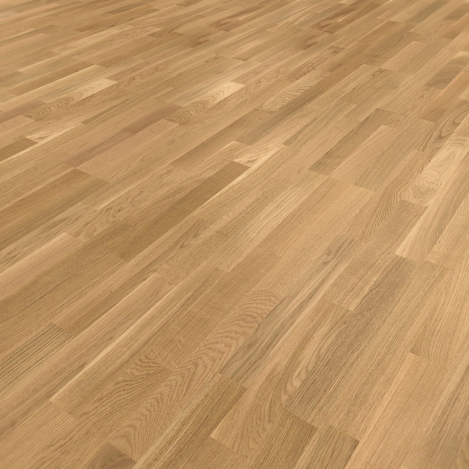 Perspektivische Ansicht - Parador Parkett Basic 11-5 Eiche Perspektivische Ansicht - Parador 1569685