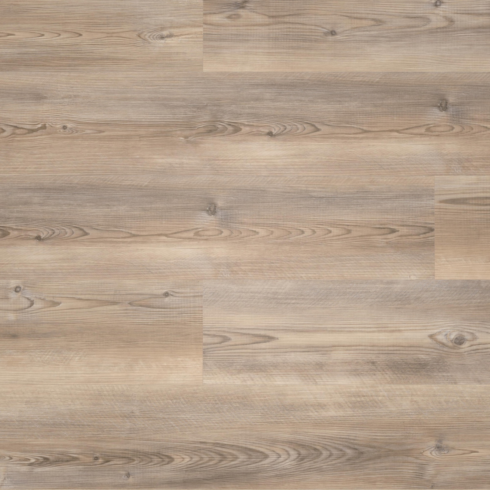 Draufsicht - wineo Klebe-Vinyl wineo 400 wood L Coast Pine Taupe Draufsicht - wineo DB284WL