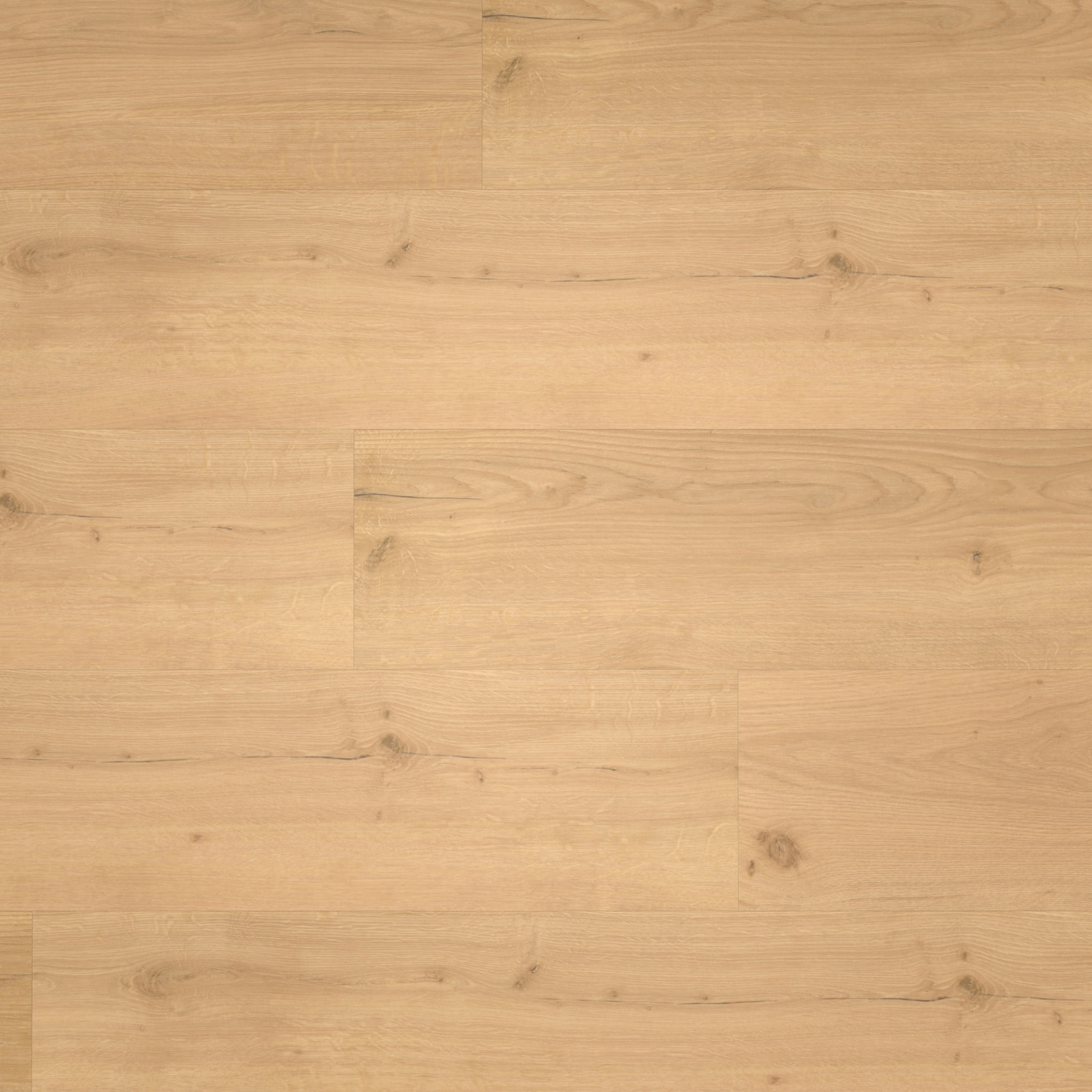 Draufsicht - Parador Klebe-Vinyl Basic 2.0 Eiche Infinity natur Draufsicht - Parador 1730799