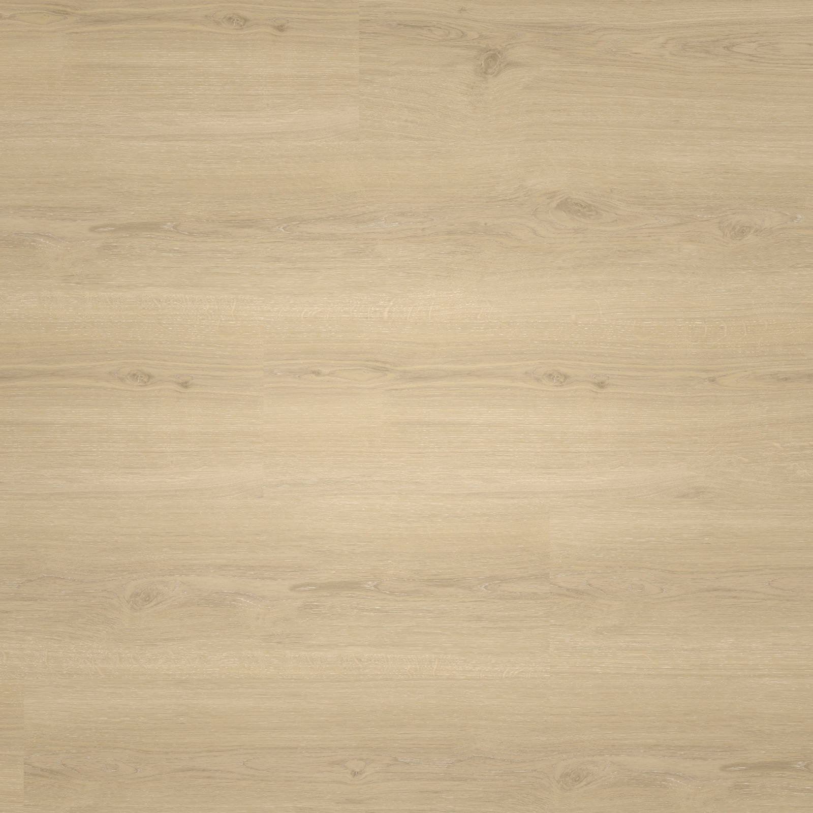 Draufsicht - Parador Klebe-Vinyl Basic 2.0 Eiche Regent beige Draufsicht - Parador 1748822