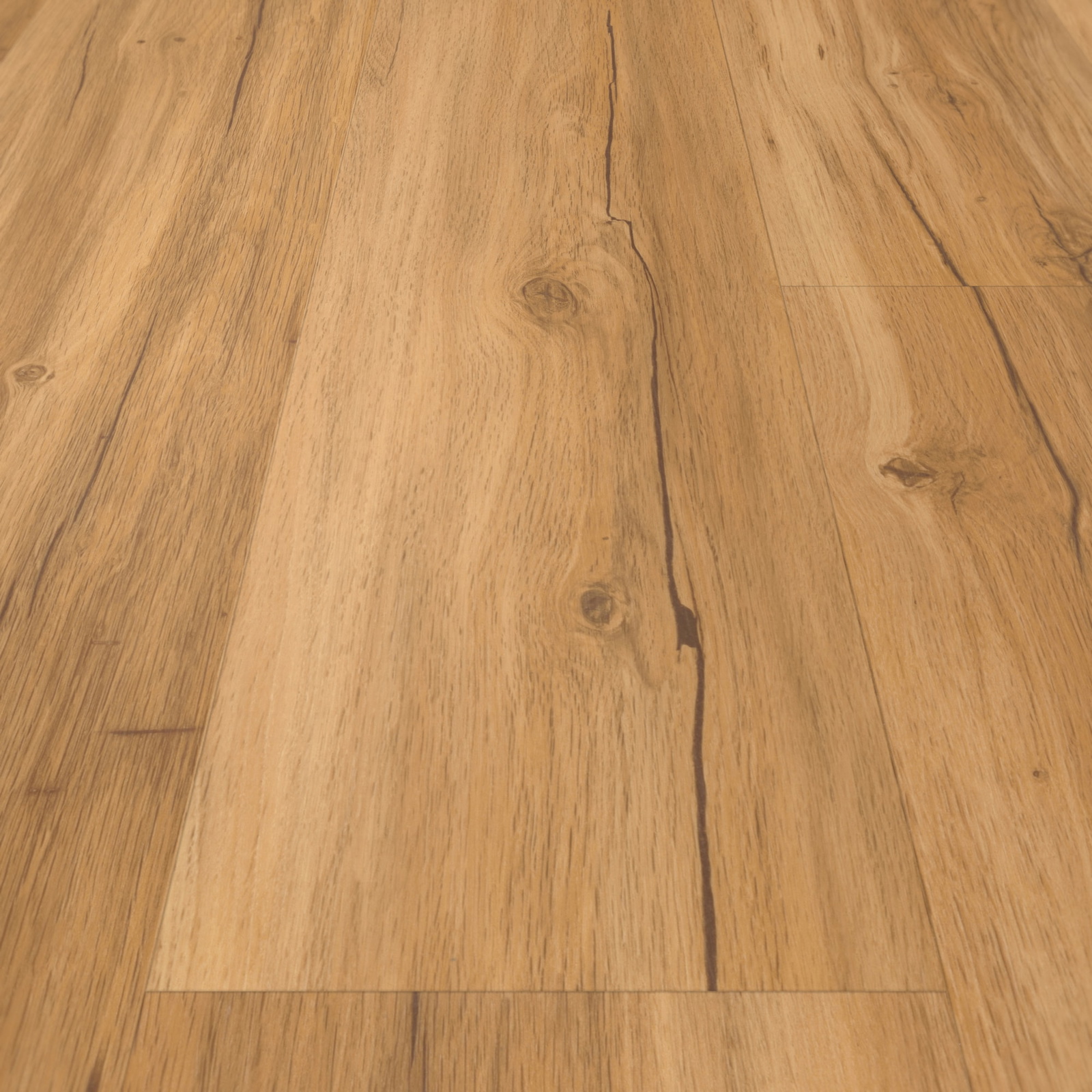 Detail Ansicht - Parador Klebe-Vinyl Classic 2025 Eiche Memory natur Detail Ansicht - Parador 1748871