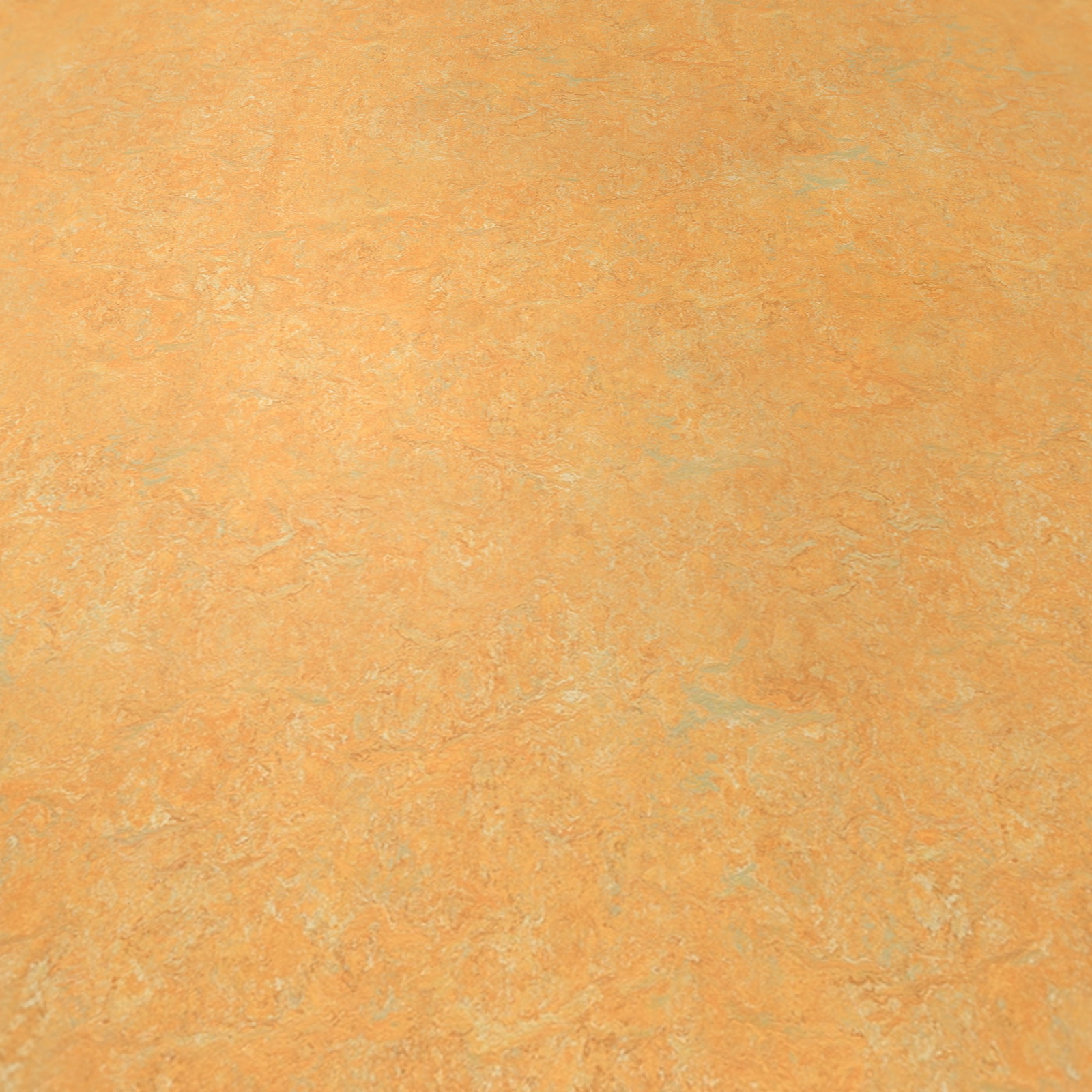 Detail Ansicht - Forbo Flooring Linoleum Rollenware Marmoleum Real Golden Saffron Detail Ansicht - Forbo Flooring 9435