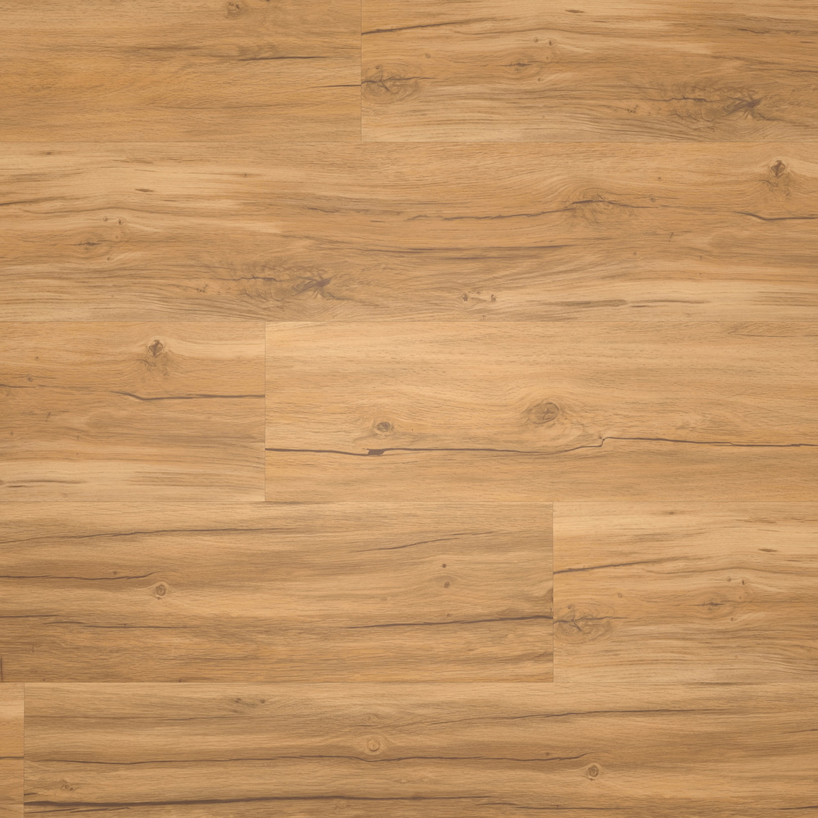 Draufsicht - Parador Klebe-Vinyl Basic 2.0 Eiche Memory natur Draufsicht - Parador 1730796
